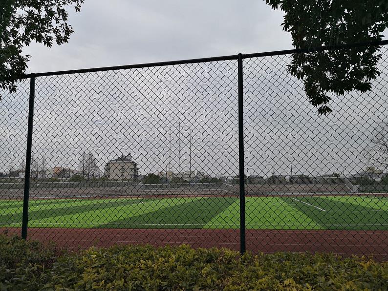 yp街机·电子游戏(中国)最新官网